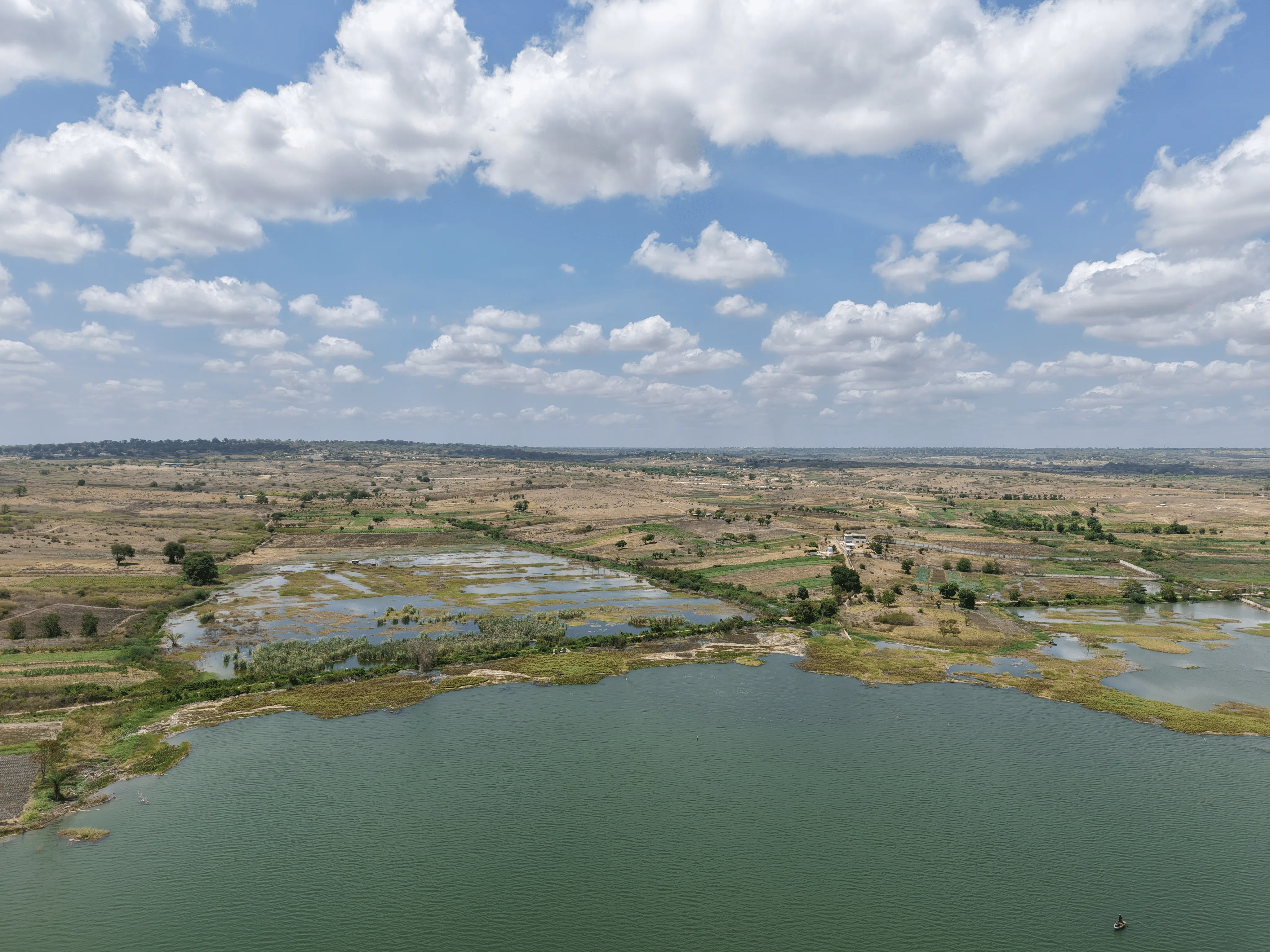 Colheita de milho nas explorações agrícolas ZEFMAN